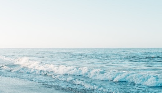 明太子の食べ過ぎはどれくらいから？1日の適量と痛風・腹痛などのリスクを徹底解説